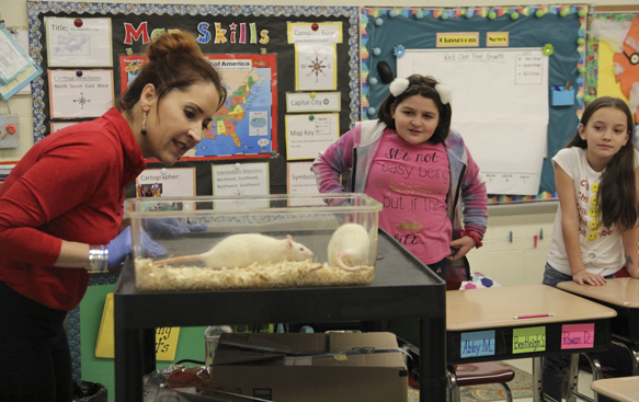 Baker Elementary students observe lab rats | News, Sports, Jobs ...